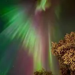 Lapland Ulpukka فيلة *
