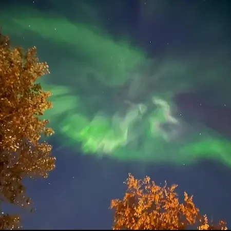 Lapland Ulpukka