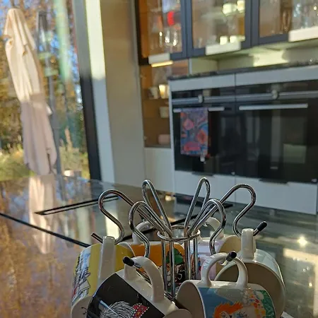 Βίλα Lapland Ulpukka Ροβανιέμι